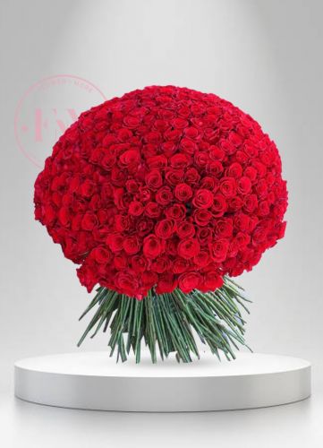 200-red-roses